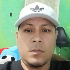 wiliams Flores Mendez