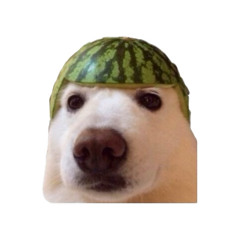 6dank