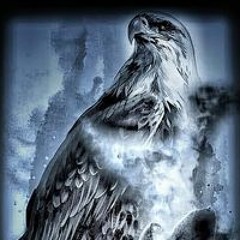 ابوالغيط غيط