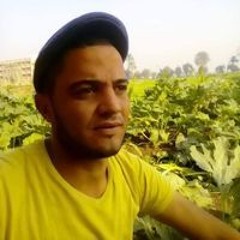 Mahmoud AB Marwan