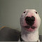 Walter_playz