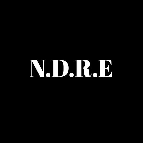 N.D.R.E @ndreband’s avatar