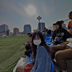gooseul