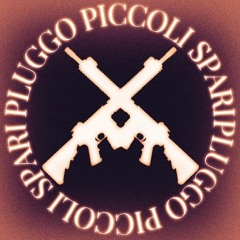 pluggando.piccoli.spari