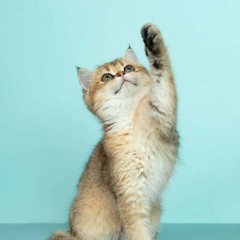 Deus por Favor Speed Up Eternamente Mc Kevin👑