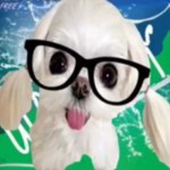 wormboy71