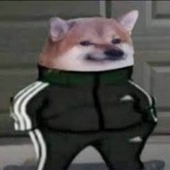 丂 ㄥ 𝔞 𝓨 𝔼 𝚛  DOG