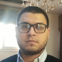 Muhammad Metwally 1