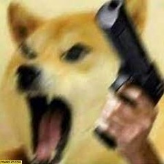 dog named bill