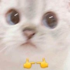 Japcat