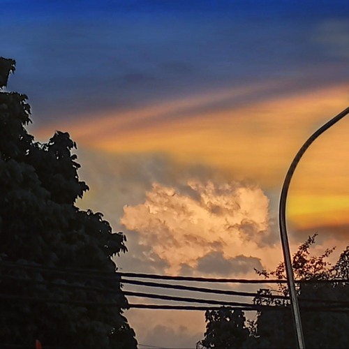 spotifydown.com - 玫瑰少年 - 小提琴原版.mp3