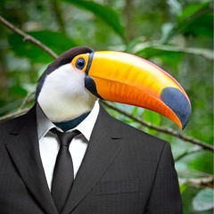 BusinessToucan