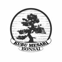 Kubu Mesari Bonsai