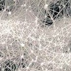 ://enjoy . toni _ pi.lorr./🌻💡🤪