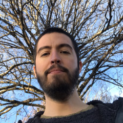 Carlos Caro Henríquez