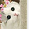cute cat