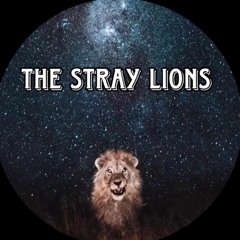 The Stray Lions