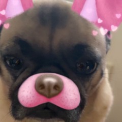 leslie