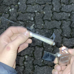 Jan.gr04