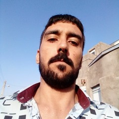 dashali3447