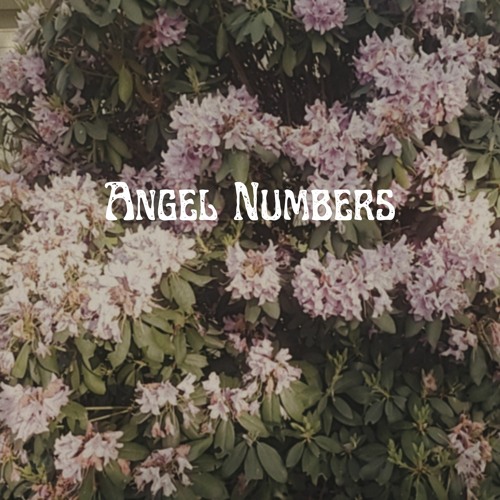 Angel Numbers’s avatar