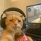 Hoang