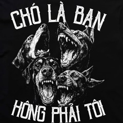 Không dỗi ai bao giờ