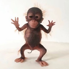 광둥성자수성가