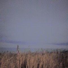 xglowinginthedarkx