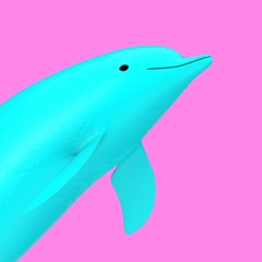 Dolphin Machine