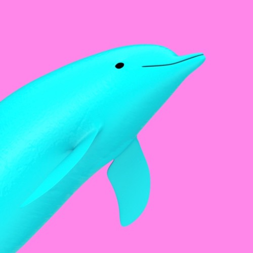 Dolphin Machine’s avatar