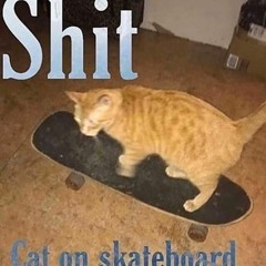 yo it's me