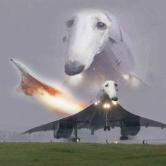 dog plain
