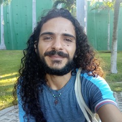 Denilson Passarim