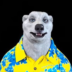 Vizhn