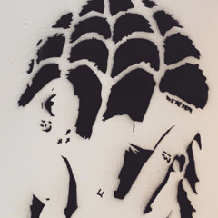 swarovskimask