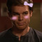 user1337