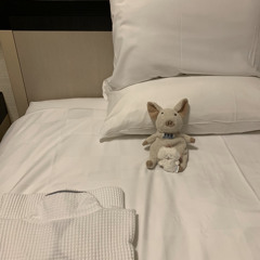 はほみ