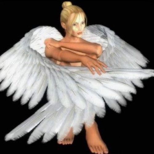 angel’s avatar