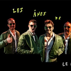 Les Ânes de Palinkov