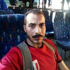 هيثم الغريب