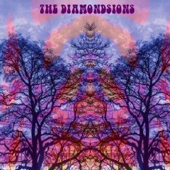 The Diamondsions