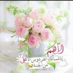 Eman Muhammed Yassin