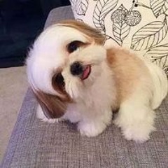 Ngọc Nhi Nhi