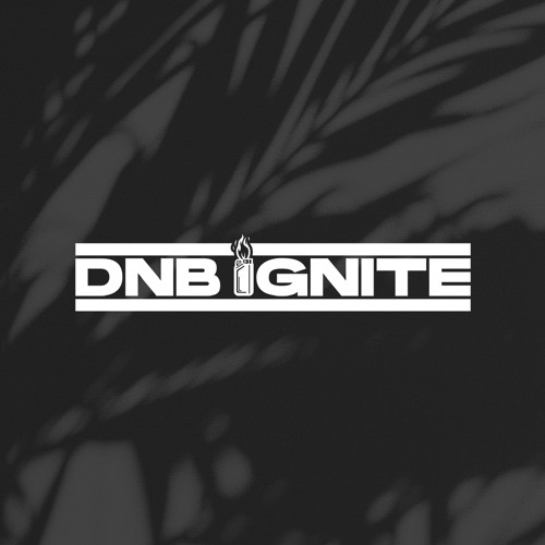 DNB IGNITE’s avatar