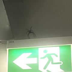 Em