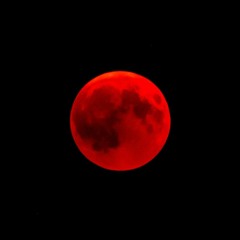 terra (@jjordan.terra)