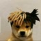 xxxtenperrasion