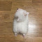 ngdepdangbun
