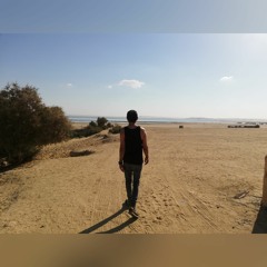 Maged ALnaggar